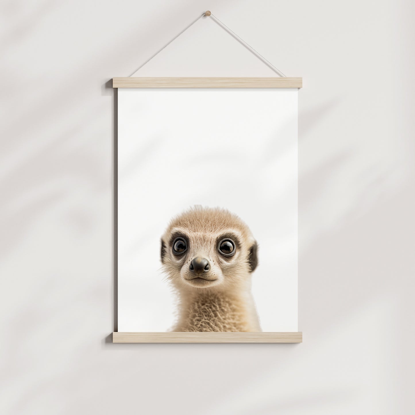 Baby Meerkat Portrait Print