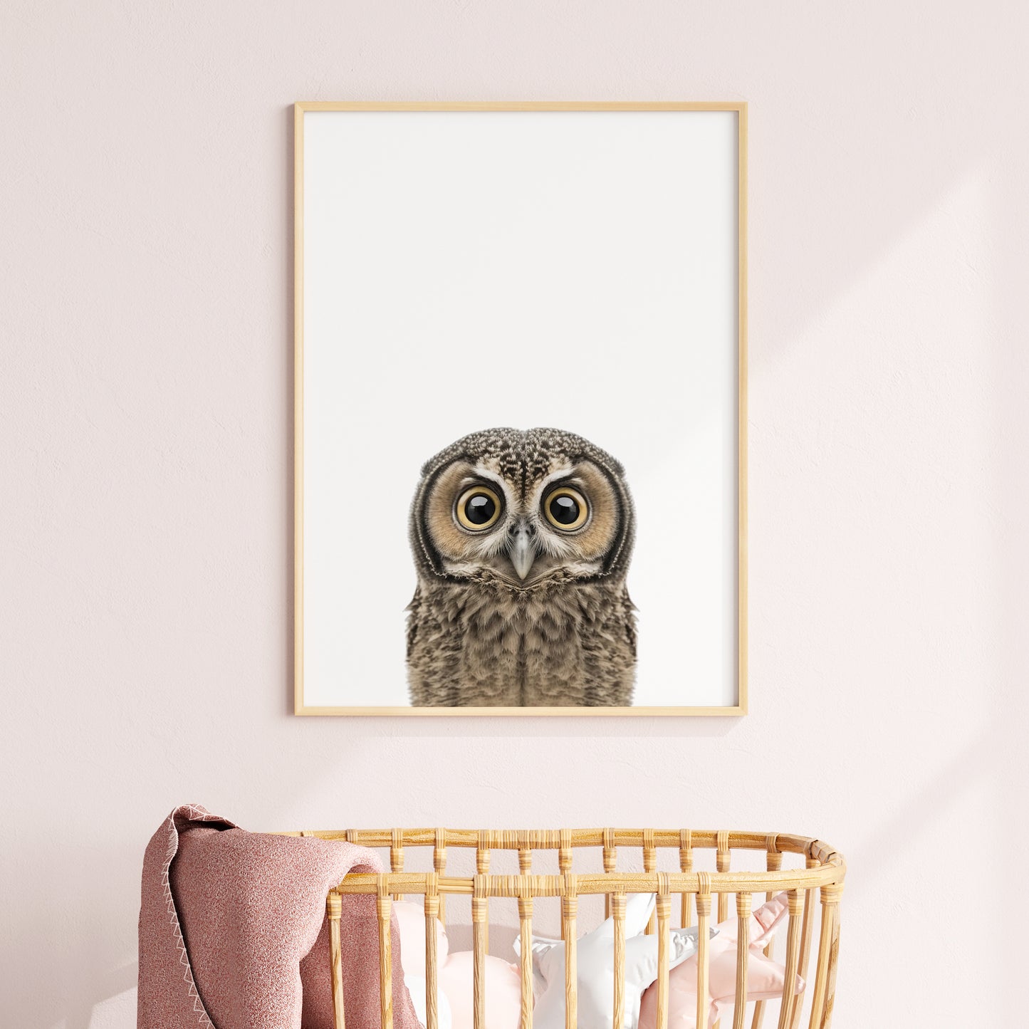 Baby Owl Portrait Print