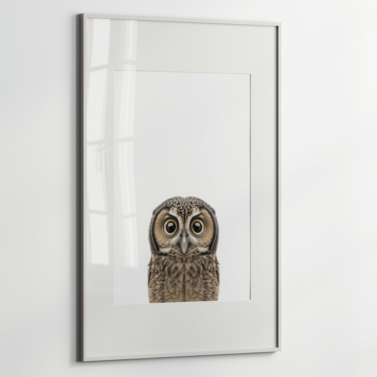 Baby Owl Portrait Print