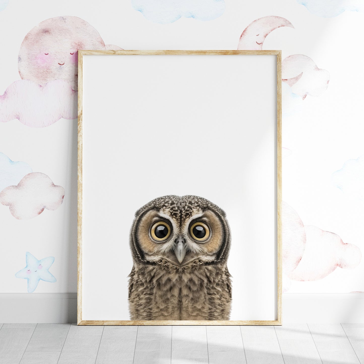 Baby Owl Portrait Print