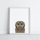 Baby Owl Portrait Print