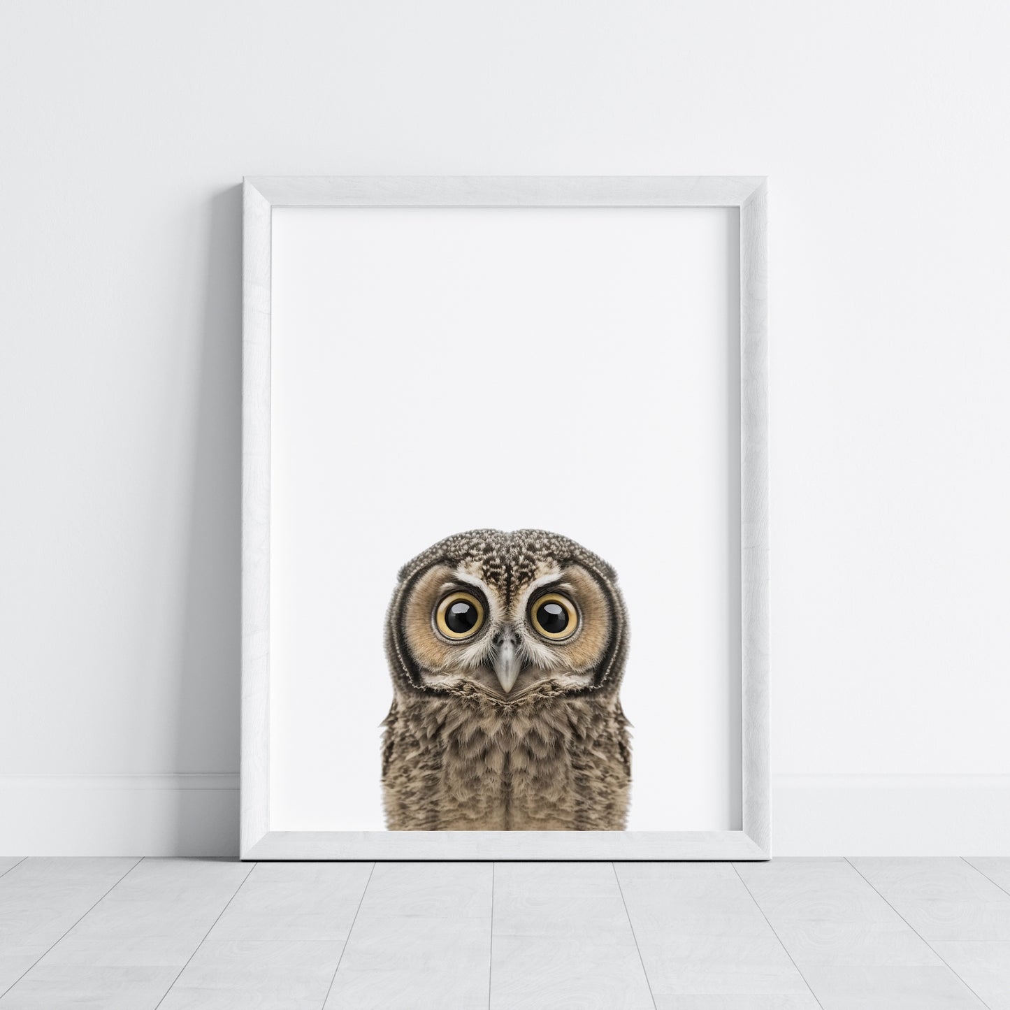 Baby Owl Portrait Print