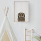 Baby Owl Portrait Print