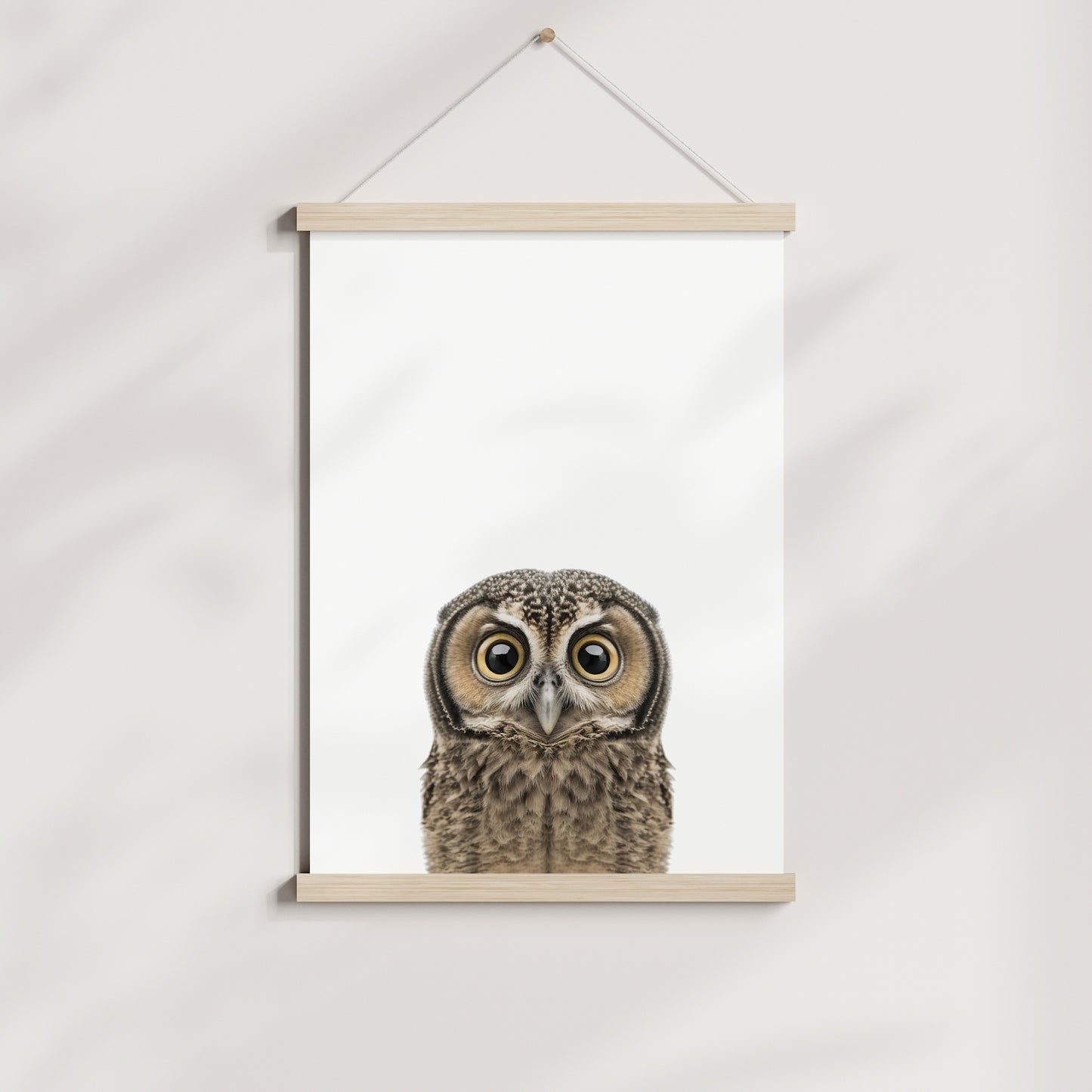 Baby Owl Portrait Print