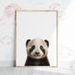 Baby Panda Portrait Print