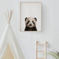 Baby Panda Portrait Print