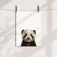 Baby Panda Portrait Print
