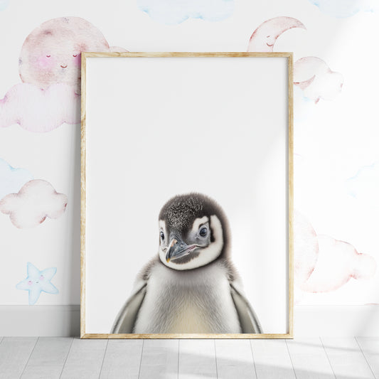 Baby Penguin Portrait Print