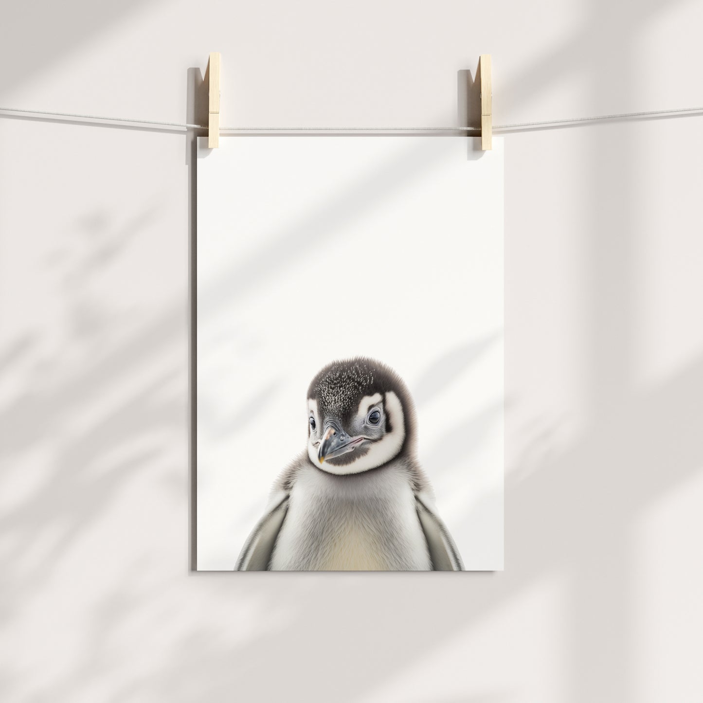 Baby Penguin Portrait Print