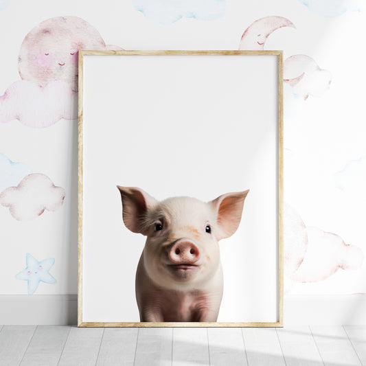 Baby Pig Portrait Print