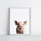 Baby Pig Portrait Print