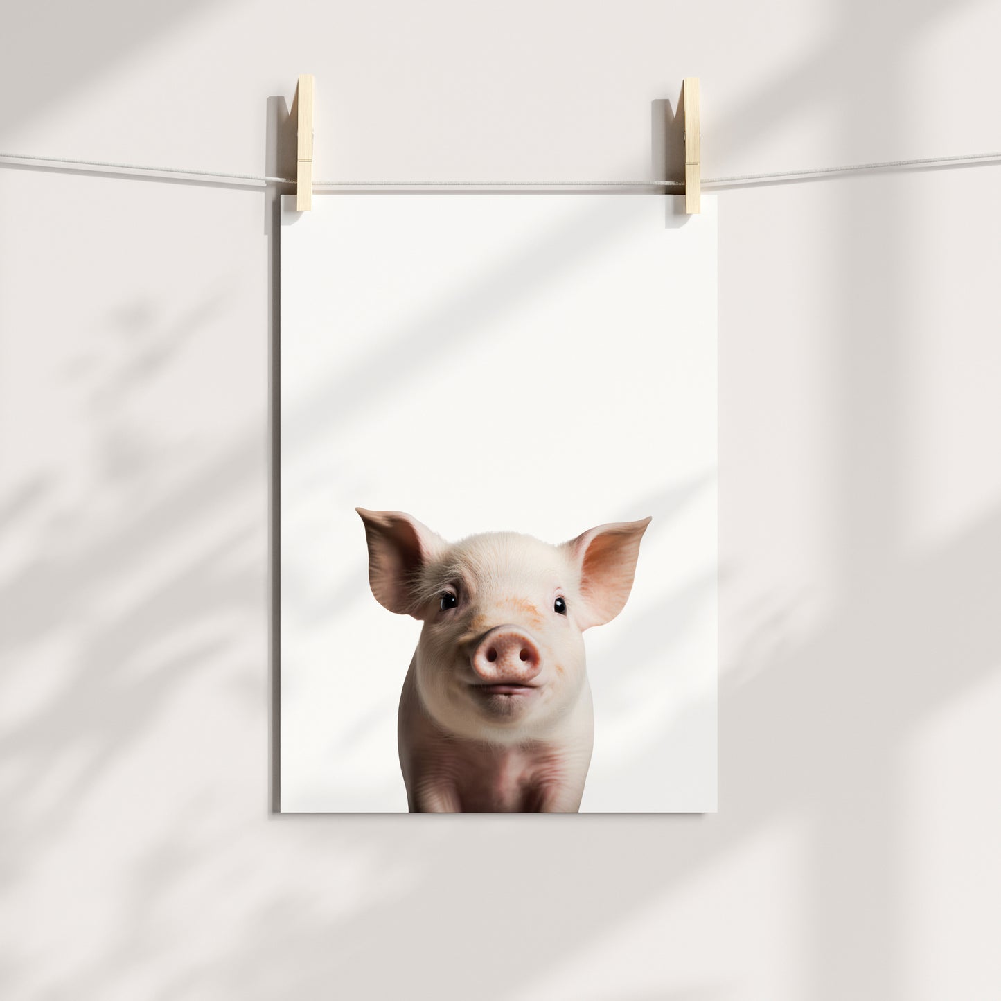 Baby Pig Portrait Print