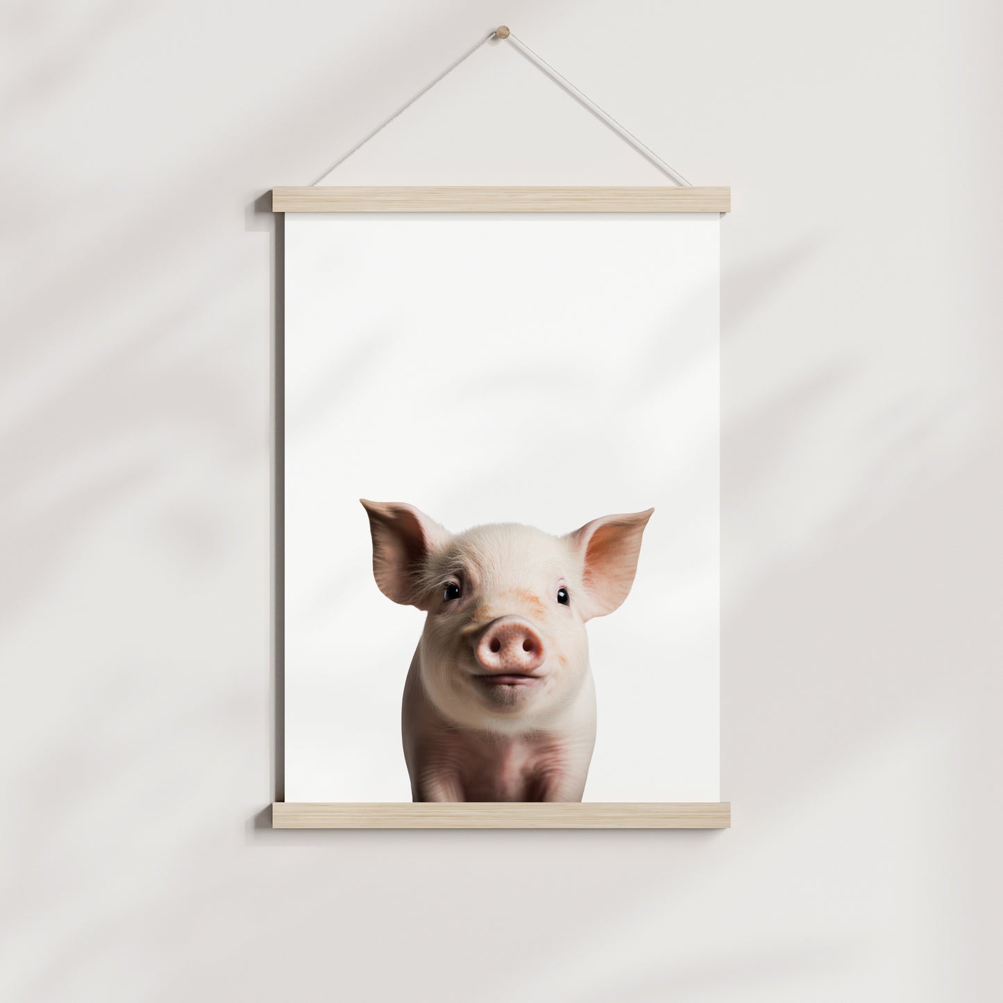 Baby Pig Portrait Print