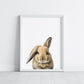 Baby Rabbit Portrait Print