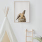 Baby Rabbit Portrait Print