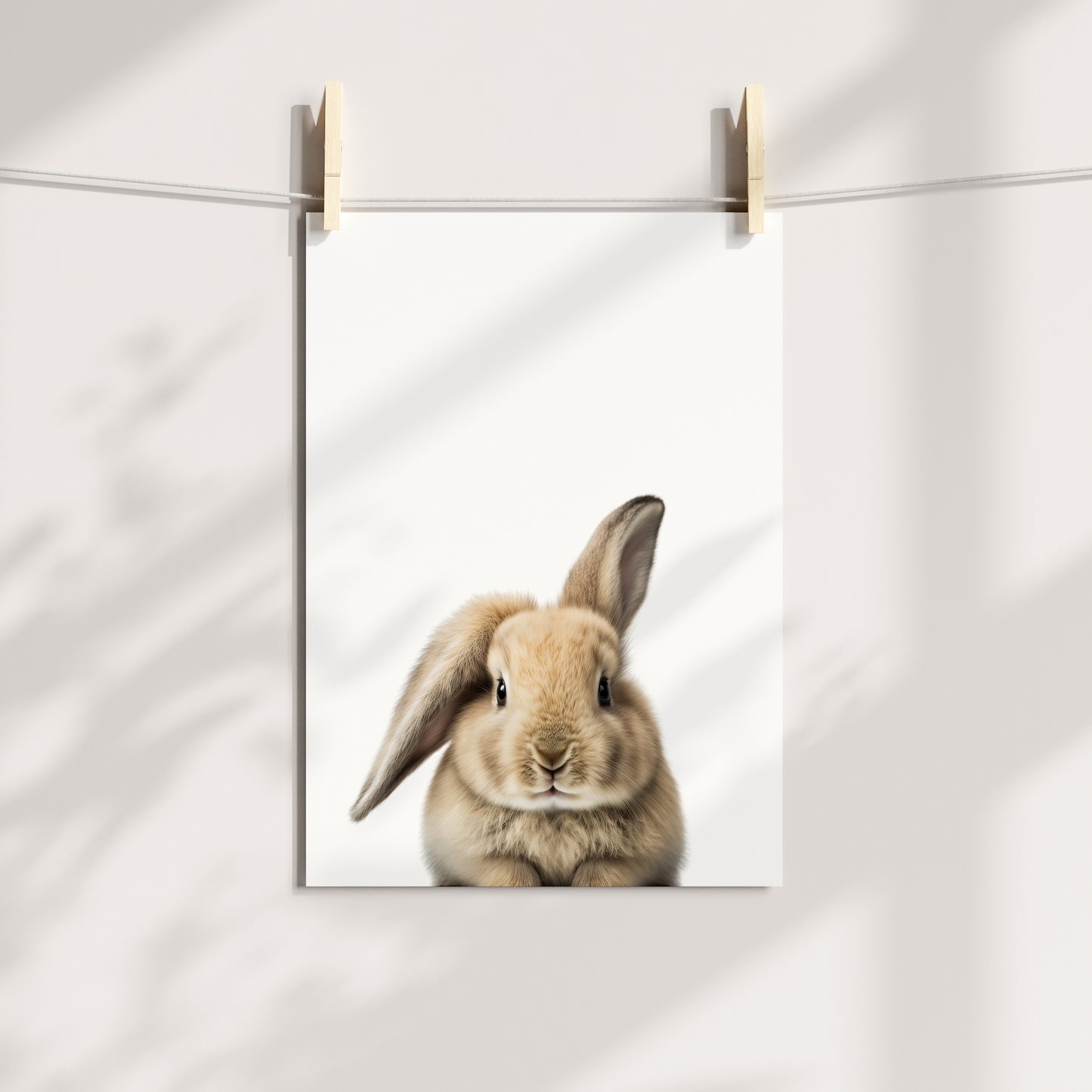 Baby Rabbit Portrait Print