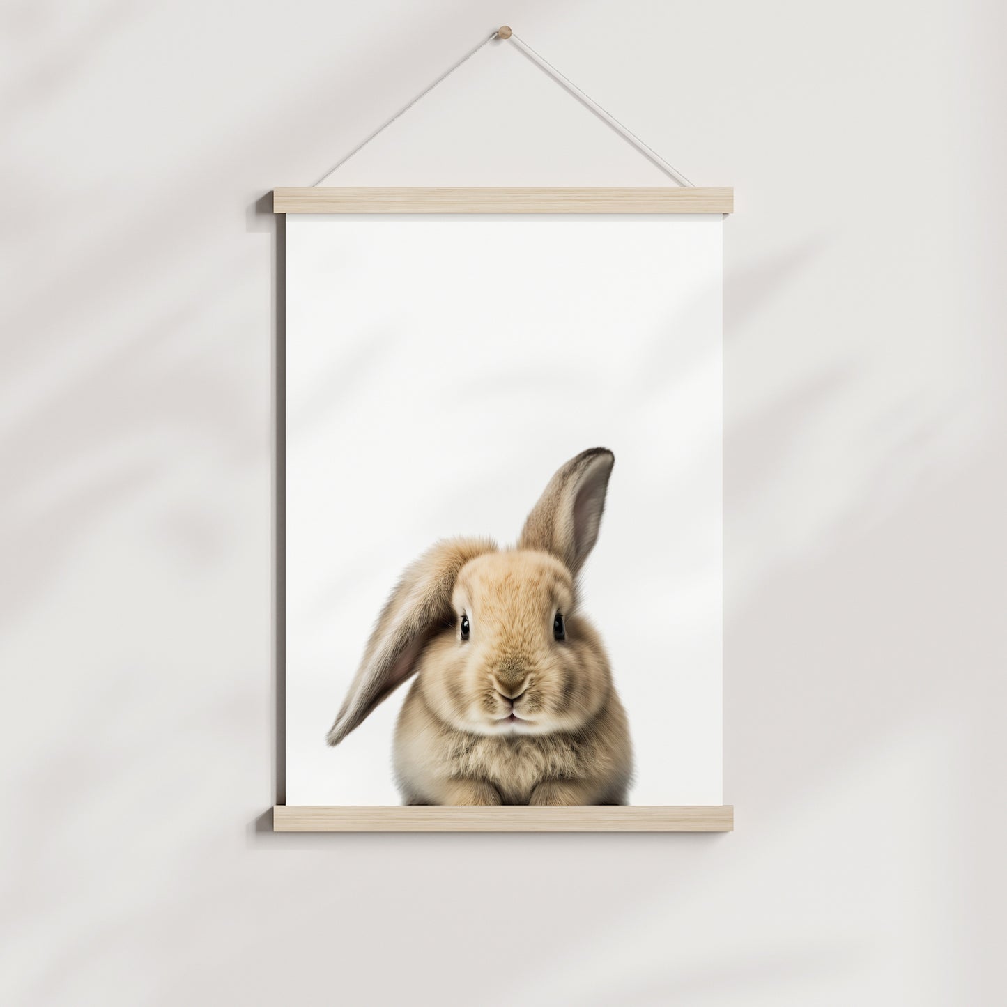 Baby Rabbit Portrait Print