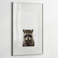 Baby Raccoon Portrait Print