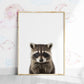 Baby Raccoon Portrait Print