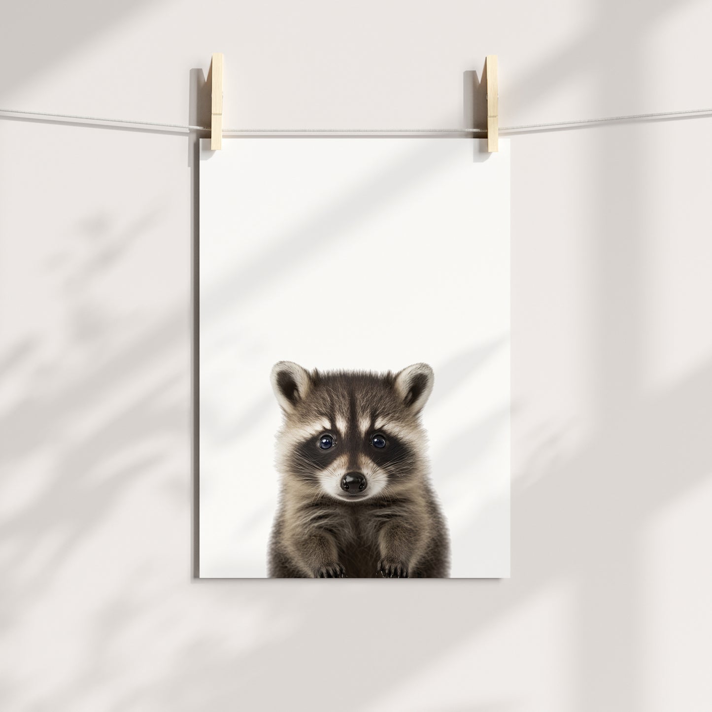 Baby Raccoon Portrait Print