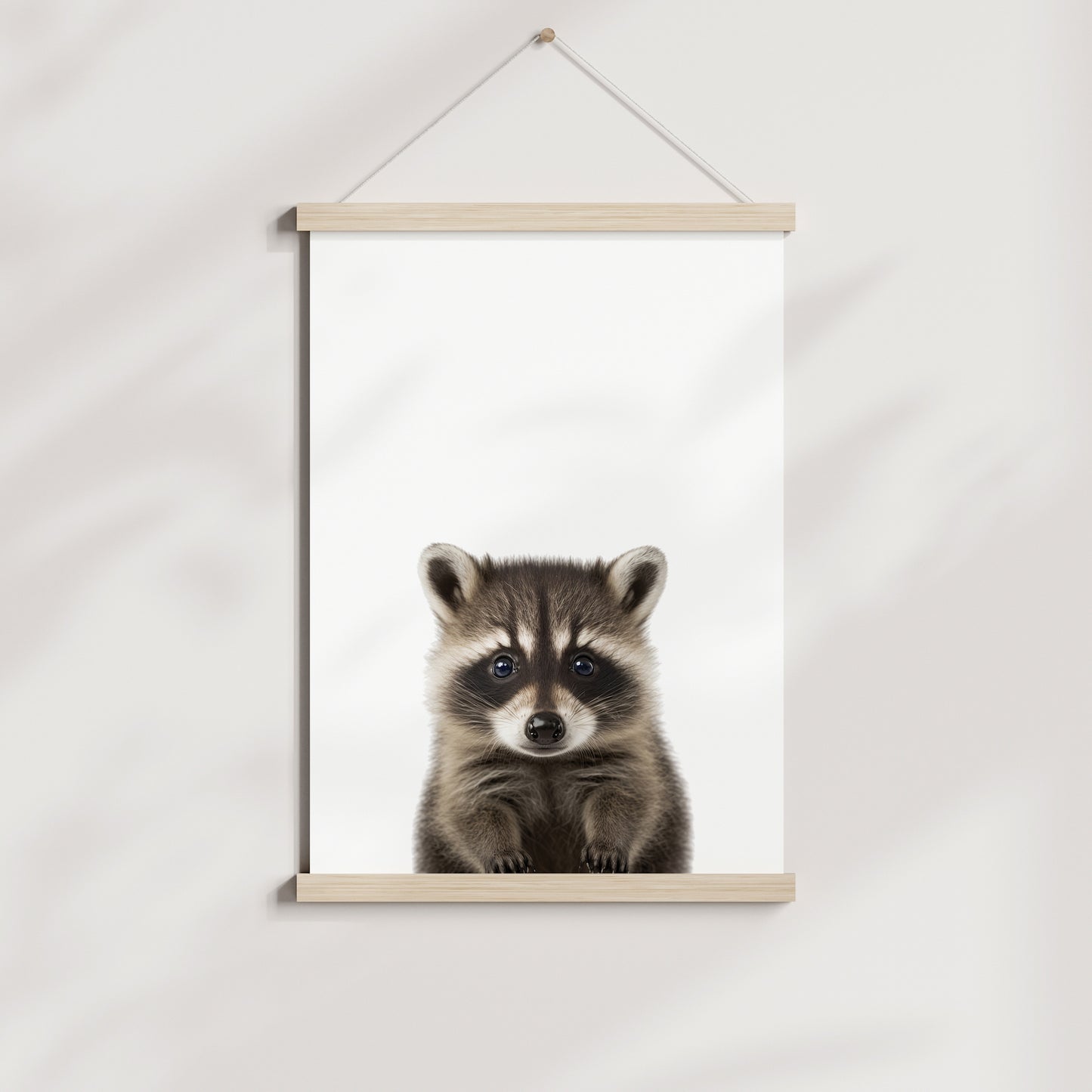 Baby Raccoon Portrait Print