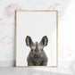 Baby Rhino Portrait Print