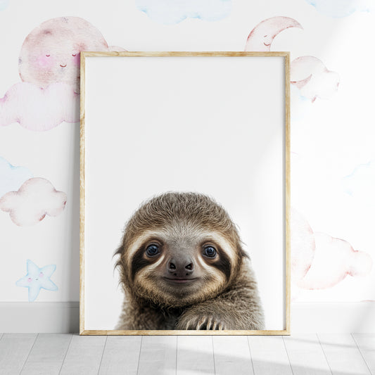 Baby Sloth Portrait Print