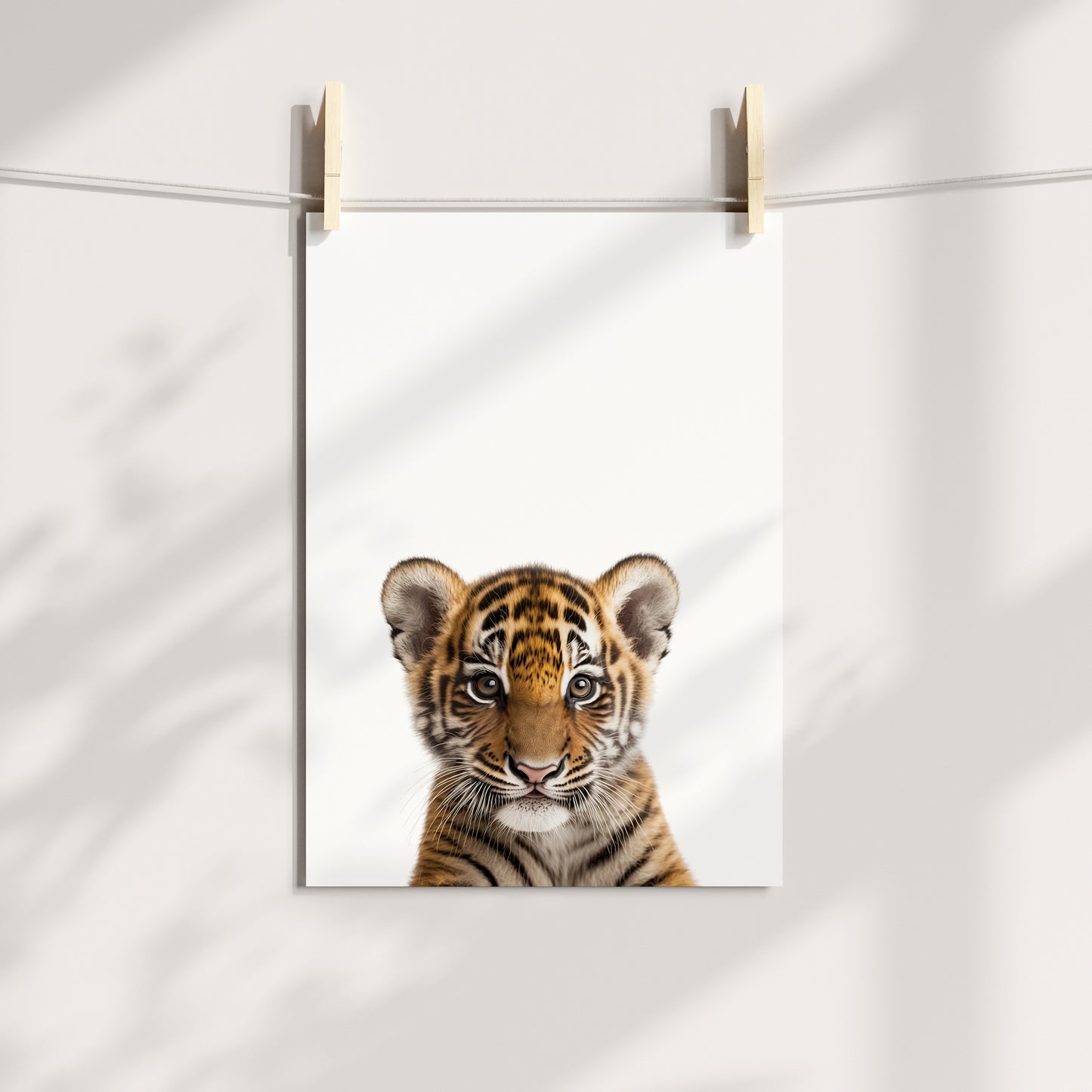 Baby Tiger Portrait Print