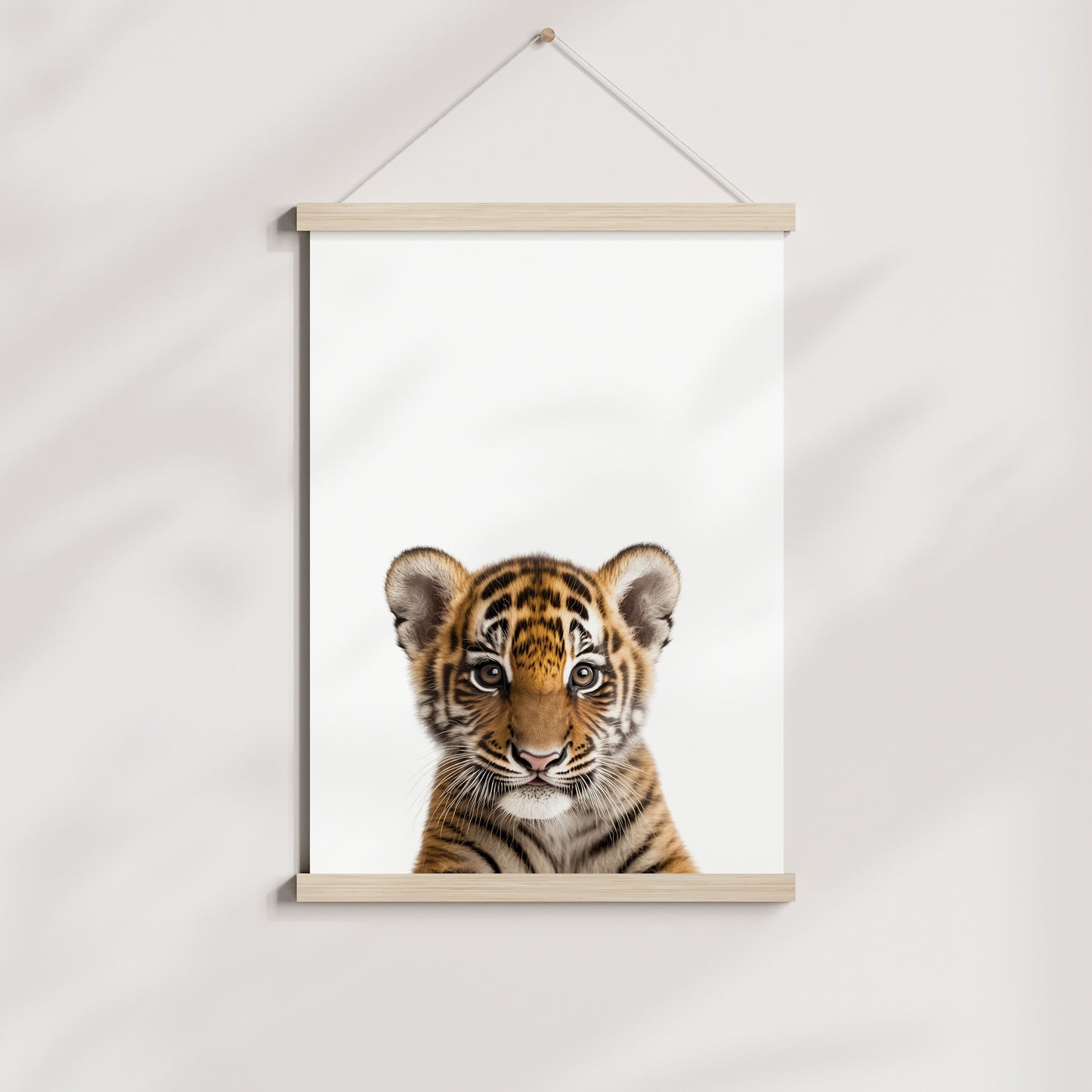 Baby Tiger Portrait Print