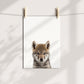 Baby Wolf Portrait Print