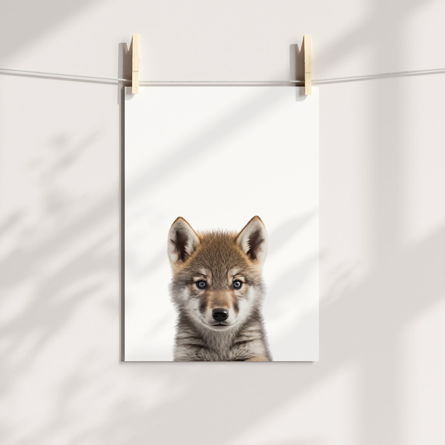 Baby Wolf Portrait Print