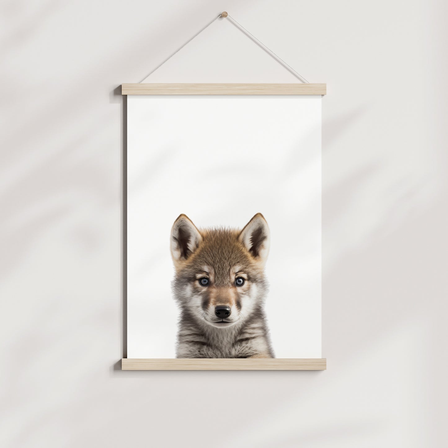 Baby Wolf Portrait Print