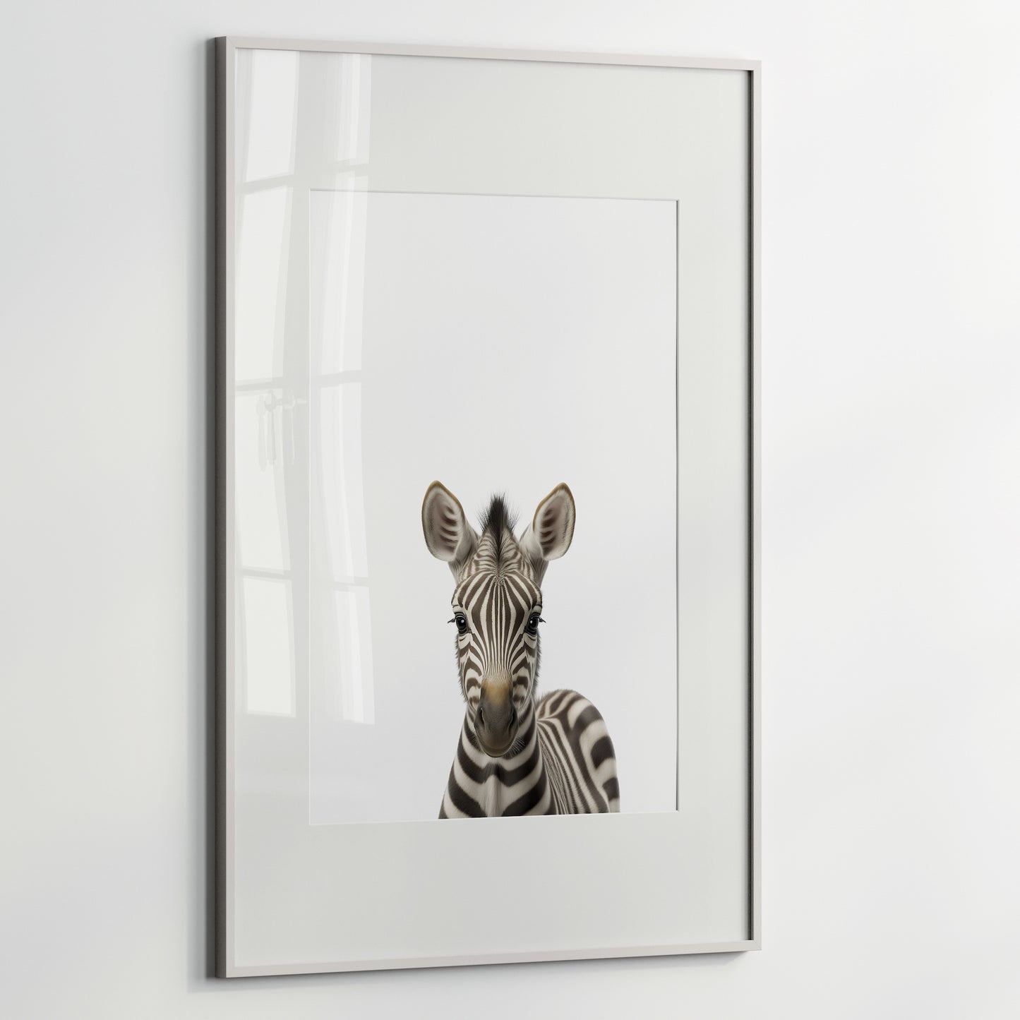 Baby Zebra Portrait Print