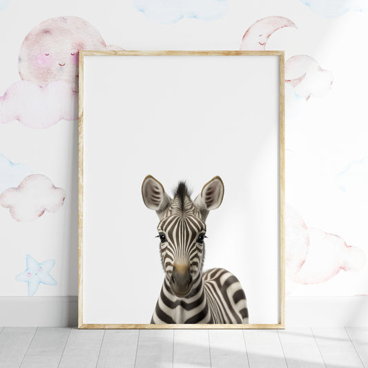 Baby Zebra Portrait Print