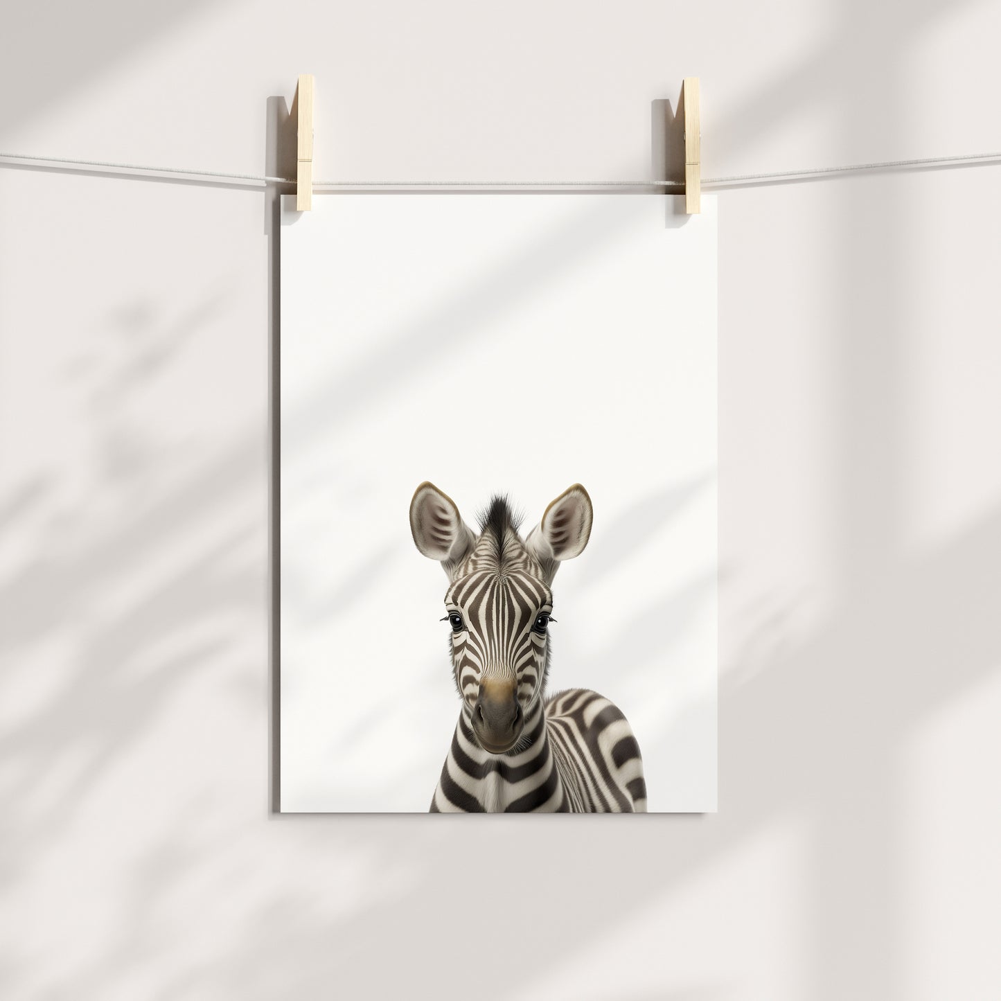 Baby Zebra Portrait Print