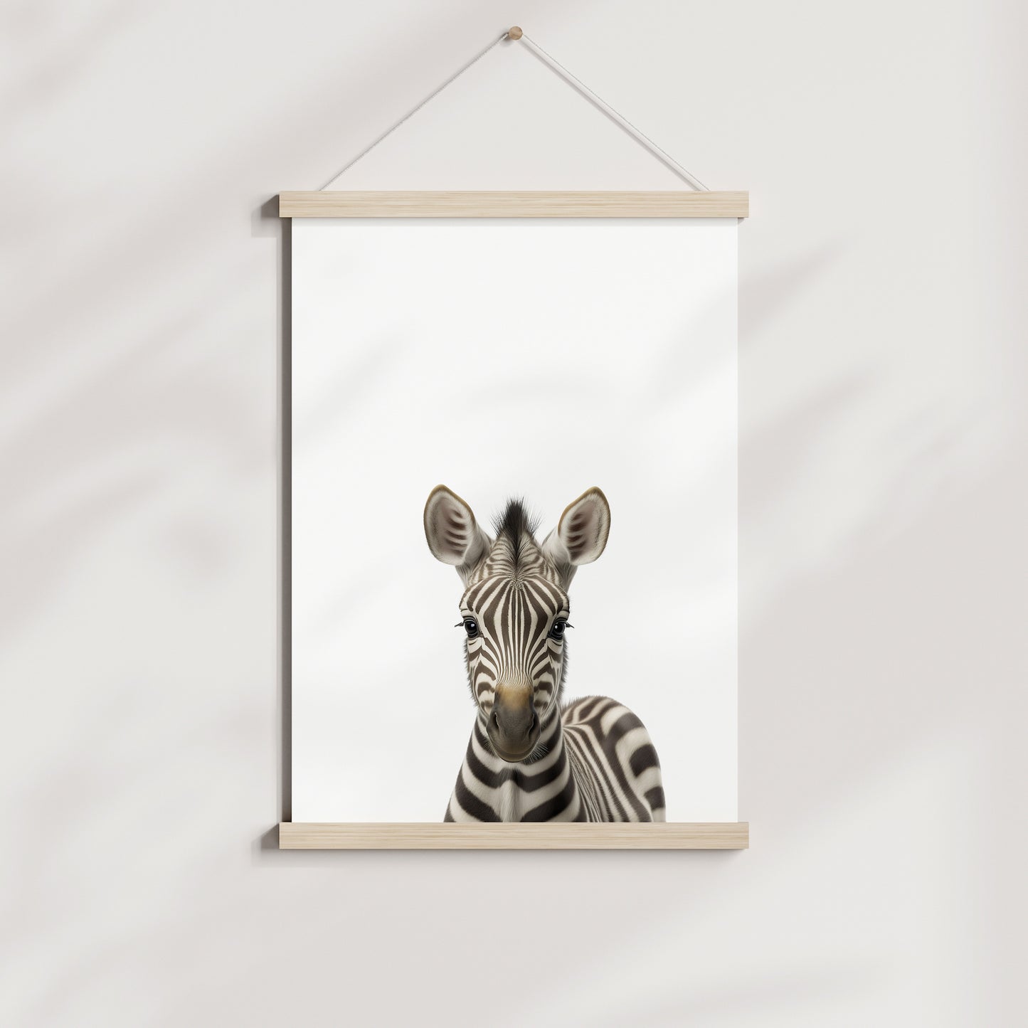 Baby Zebra Portrait Print